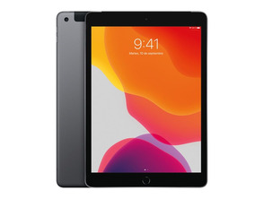 Apple iPad 10.2 2019 32 GB di Spazio Grigio Wifi MW6A2TY/A