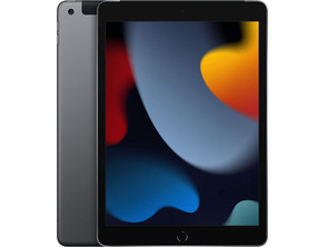 Apple iPad 2.10.2021 Wifi / Cell 64 GB Gris Espacial MK473TY/A