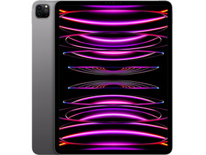 Acquista Apple iPad Pro 11 '' 2022 Wifi 1TB Space Grey MNXW3TY/A Apple iPad Pro 11 '' 2022 Wifi 1TB Space Grey MNXW3TY/A