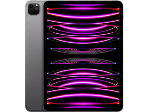 Acquista Apple iPad Pro 11 '' 2022 Wifi 256GB Space Grey MNXF3TY/A Apple iPad Pro 11 '' 2022 Wifi 256GB Space Grey MNXF3TY/A