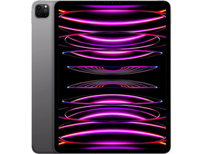 Acquista Apple iPad Pro 12,9 '' 2022 Wifi / Cell 256GB Gris Espacial MP203TY/A Apple iPad Pro 12,9 '' 2022 Wifi / Cell 256GB Gris Espacial MP203TY/A