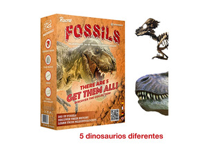 Acquista Bresser Set de Fósiles Roctar Bresser Set de Fósiles Roctar