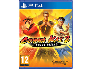 Acquista Cobra Kai 2: Dojos Rising PS4 Cobra Kai 2: Dojos Rising PS4