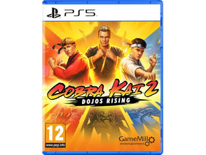 Acquista Cobra Kai 2: Dojos Rising PS5 Cobra Kai 2: Dojos Rising PS5