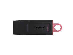 Acquista Kingston DataTraveler Exodia USB 256 GB Kingston DataTraveler Exodia USB 256 GB