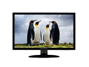 Acquista Monitor Hanns HE195ANB 18,5 '' 5ms Monitor Hanns HE195ANB 18,5 '' 5ms