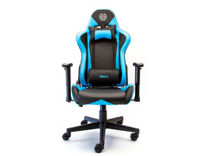 Acquista Silla Gaming Onaji Asura Pro Carbon 2D Azul Silla Gaming Onaji Asura Pro Carbon 2D Azul
