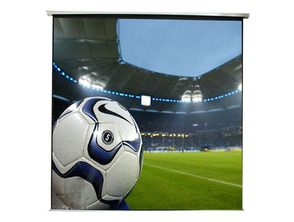 Acquista Schermo elettrico a muro CA APPP240E 240 x 240 Schermo elettrico a muro CA APPP240E 240 x 240