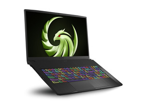 Acquista Portátil MSI Bravo 17-002XES AMD R7/16GB/1TB/RX5500M/17.3 "" Portátil MSI Bravo 17-002XES AMD R7/16GB/1TB/RX5500M/17.3 ""