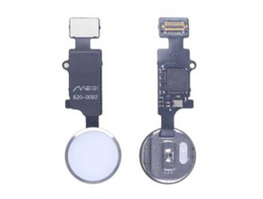 Acquista Repuesto Botón Home con Flex para iPhone 7 / 7 Plus / 8 / 8 Plus con función HOME Argento Repuesto Botón Home con Flex para iPhone 7 / 7 Plus / 8 / 8 Plus con función HOME Argento