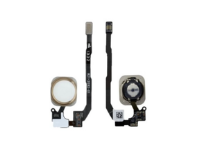 Acquista Home Button with PCB Membrane Flex Cable Part for iPhone 5S/SE Gold Home Button with PCB Membrane Flex Cable Part for iPhone 5S/SE Gold
