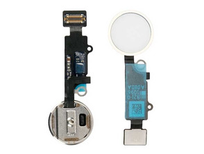 Acquista Pulsante Home + Flessione di montaggio iPhone 8 / 8 Plus Bianco Pulsante Home + Flessione di montaggio iPhone 8 / 8 Plus Bianco