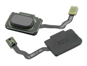 Pulsante Home + Flessione di montaggio - Samsung Galaxy S9/S9 Plus Grey