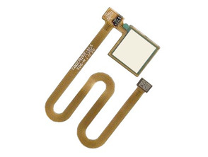 Acquista Lettore di impronte digitali di ricambio per Bq Aquaris V / V Plus Oro Lettore di impronte digitali di ricambio per Bq Aquaris V / V Plus Oro