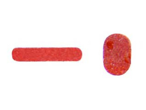 Acquista Set di Adesivi per Sensori ad Acqua - iPhone 7 Set di Adesivi per Sensori ad Acqua - iPhone 7