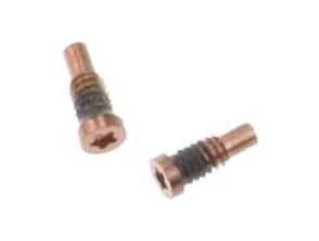 Acquista Viti Inferiori - iPhone 8 / 8 Plus Oro Viti Inferiori - iPhone 8 / 8 Plus Oro