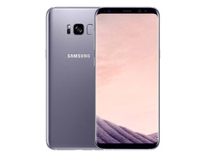 Acquista Samsung Galaxy S8 (64Gb) - Orchid Gray Samsung Galaxy S8 (64Gb) - Orchid Gray