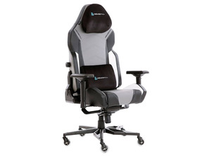 Acquista Silla Gaming Newskill Banshee Tela Gris Silla Gaming Newskill Banshee Tela Gris