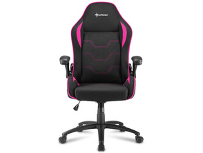 Acquista Silla Gaming Sharkoon Elbrus 1 Negro / Rosa 160G Silla Gaming Sharkoon Elbrus 1 Negro / Rosa 160G