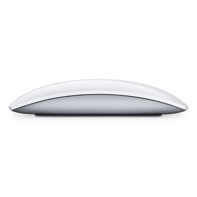 RATON APPLE MOUSE 2