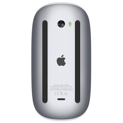 RATON APPLE MOUSE 2