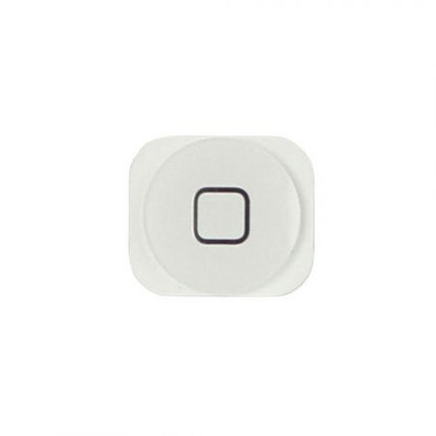 Riparazione Home Button iPhone 5 Bianco