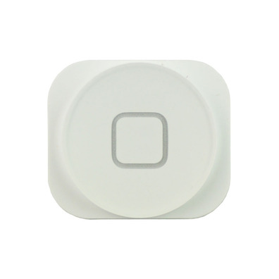 Riparazione Home Button iPhone 5 Bianco