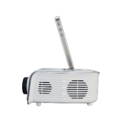 LCD Technology Mini Projector for iPhone/iTouch