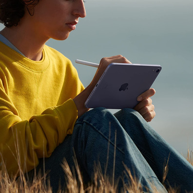 Apple iPad Mini 8,3 Wifi / Cell 64GB 2021 MK893TY/A Gris Espaciale