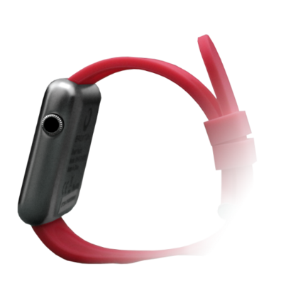 BT2 RT RT RT RT RT RT RT RT RT RT RT RT RT