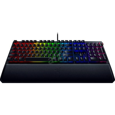 Tastiera Razer Blackwidow Verde Interruttore