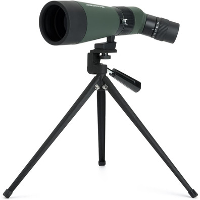 Telescopio Stampa Celestron LandScout 12-36x60 45º