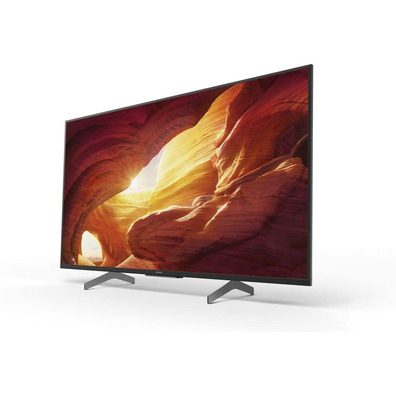 Televisione Sony KD49XH8596 ELED 49 '' Smart TV 4K UHD
