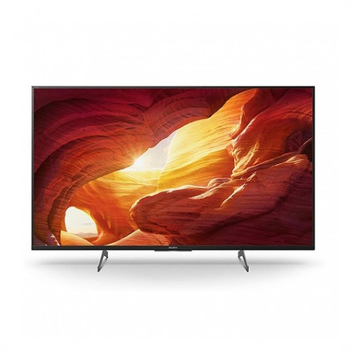 Televisione Sony KD49XH8596 ELED 49 '' Smart TV 4K UHD
