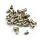 Screw Set for iPhone 2G