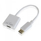 Porta di visualizzazione adattatore a Hdmi Approx