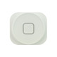 Riparazione Home Button iPhone 5 Bianco