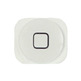 Riparazione Home Button iPhone 5 Bianco