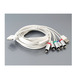 Cavo componenti per iPhone/iPad/iPod