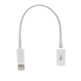 Cavo microUSB a Lightning per iPhone 5/iTouch/iPod Nano/iPad