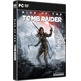 Rise of the Tomb Raider PC