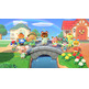 Animal Crossing: New Horizons Interruttore
