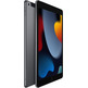 Apple iPad 2.10.2021 Wifi / Cell 256 GB Gris Espacial MK4E3TY/A