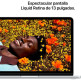 Apple Macbook Neo (2026) 13" A18 Pro 8GB RAM 256GB SSD Argento