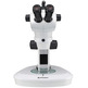 Estereomicroscopio Bresser Science ETD - 201 Trino