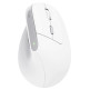 Inhalamber verticale Mouse Trust Bayo II ricaricabile 2400 DPI