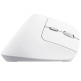 Inhalamber verticale Mouse Trust Bayo II ricaricabile 2400 DPI