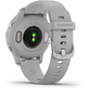 Smartwatch Garmin Venu 2S GPS Plata y Gris