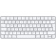 Teclado Inalámbrico Apple Magic Keyboard MK2A3Y/A Plata