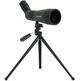 Telescopio Stampa Celestron LandScout 12-36x60 45º